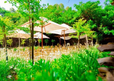 Olive Tree Corporate Venue Johannesburg