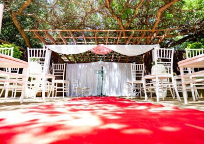 Olive Tree hide Wedding venue Johannesburg