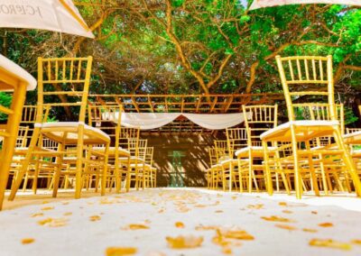 Olive Tree hide Wedding venue Johannesburg