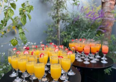 Fever Tree Party Venue Johannesburg