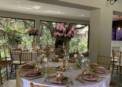 Olive Tree Corporate Venue Johannesburg
