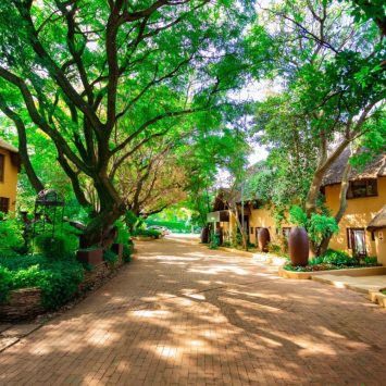 The Garden Venue Weddings Johannesburg